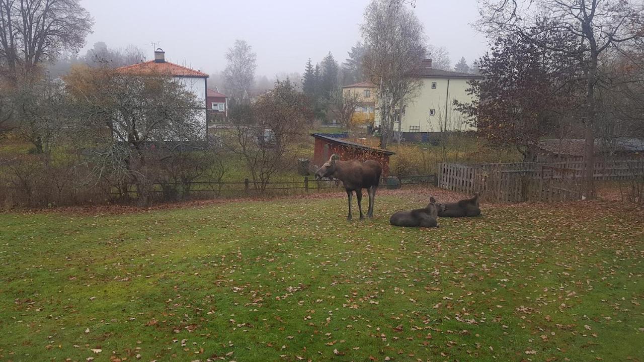Trevligt Hus Med Egen Gard Och Fri Wifi, Emmaboda Kommun, Lindas Dış mekan fotoğraf