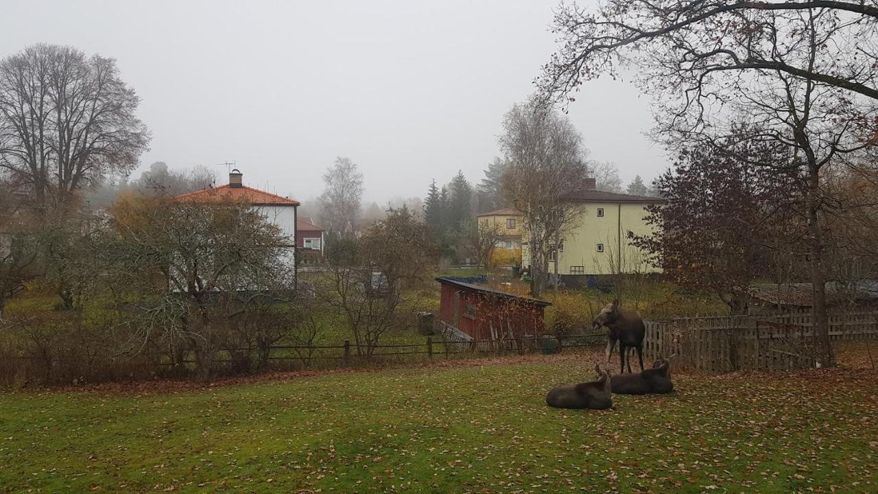 Trevligt Hus Med Egen Gard Och Fri Wifi, Emmaboda Kommun, Lindas Dış mekan fotoğraf